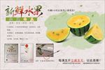 仁风西瓜