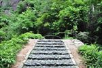 路道