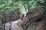 路道