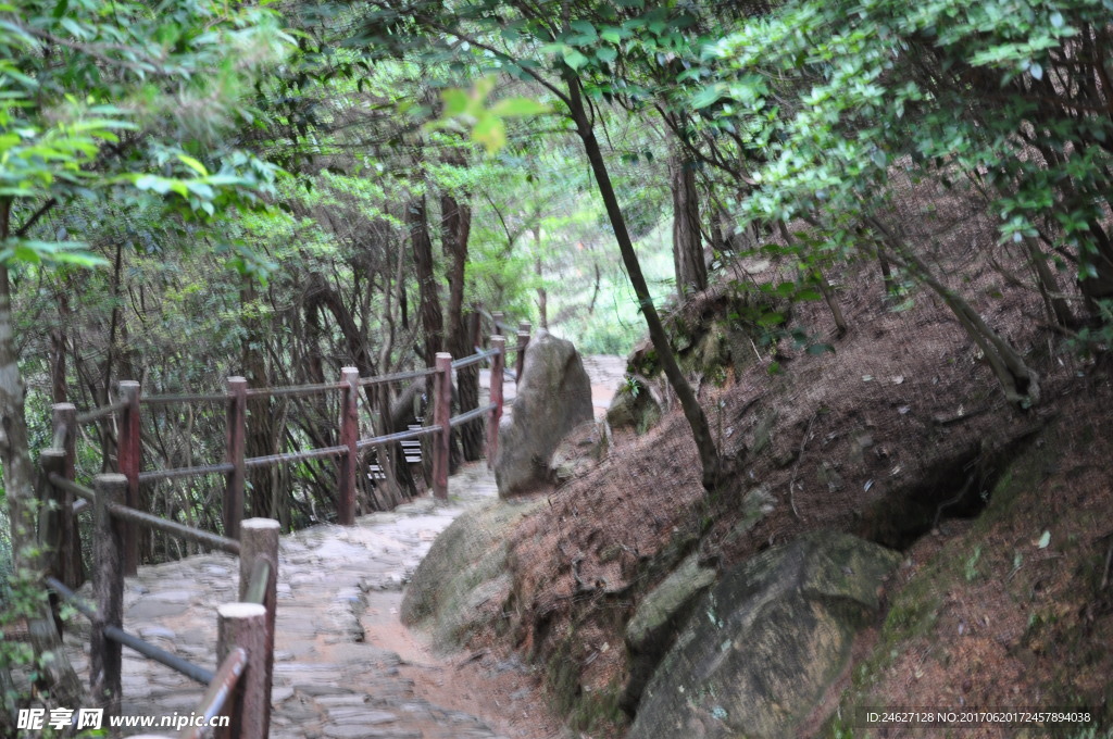 路道