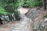 路道