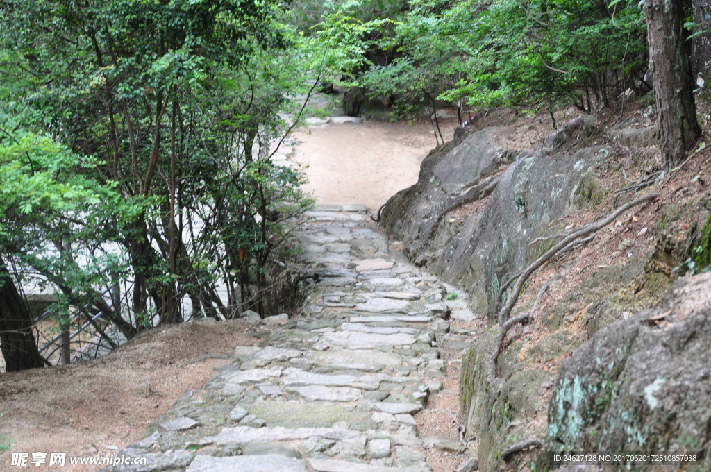 路道