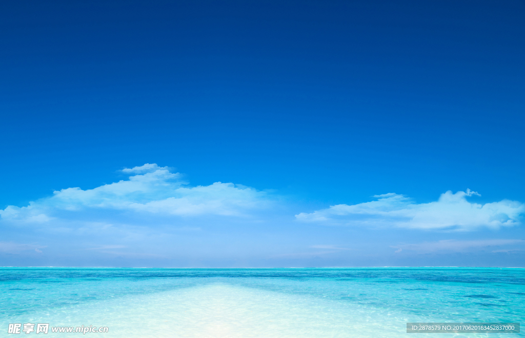 大海