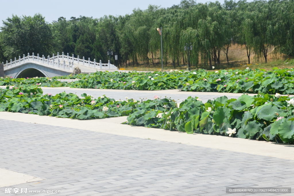 圆明园风景