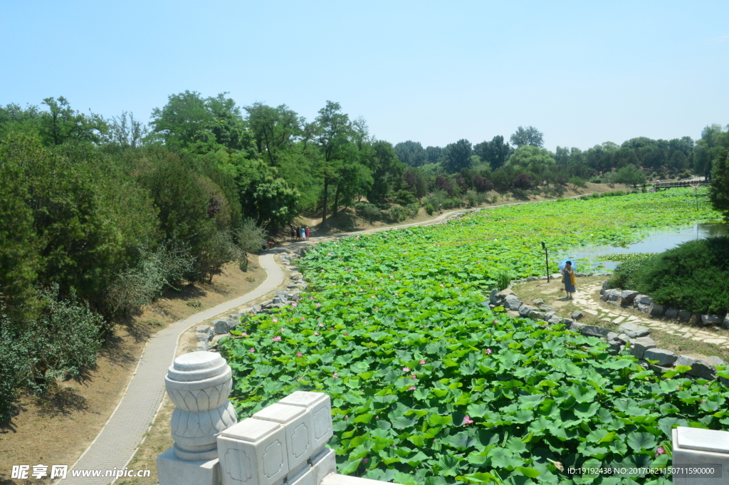圆明园风景
