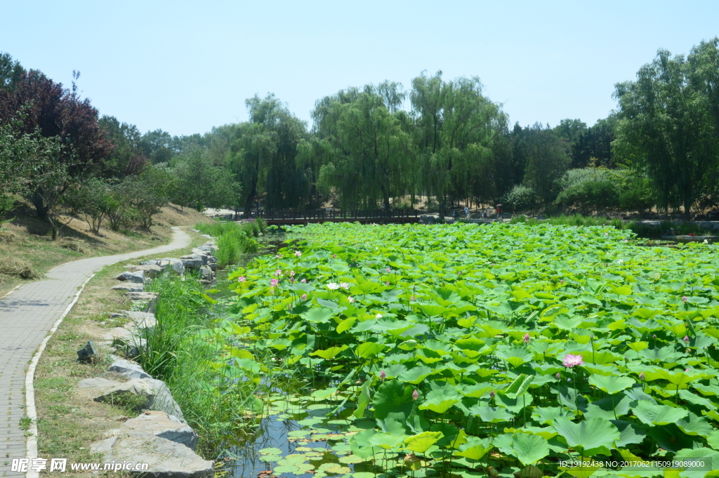 圆明园风景