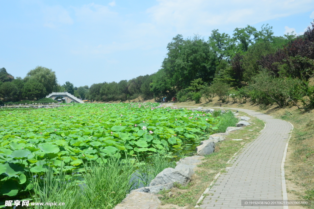圆明园风景