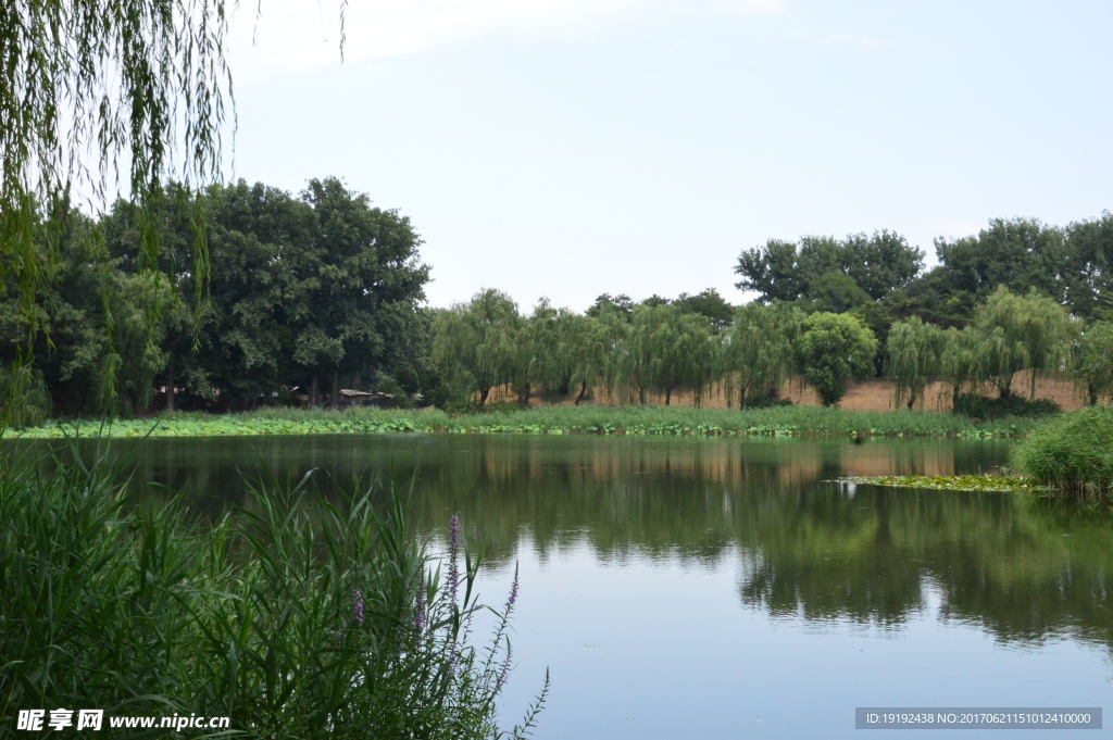 圆明园风景