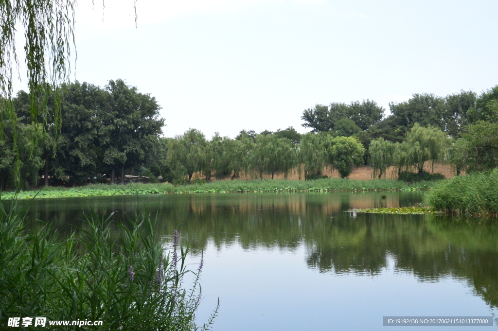 圆明园风景