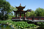 丹东 锦江山公园 亭子