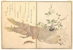 日本浮世绘 日本名画 浮世绘