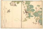 日本浮世绘 日本名画 浮世绘