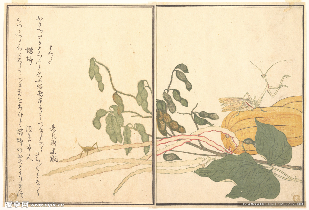 日本浮世绘 日本名画 浮世绘