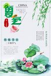 24二十四个节气夏至传统节日