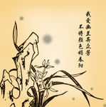 兰花