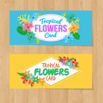 鲜花banner