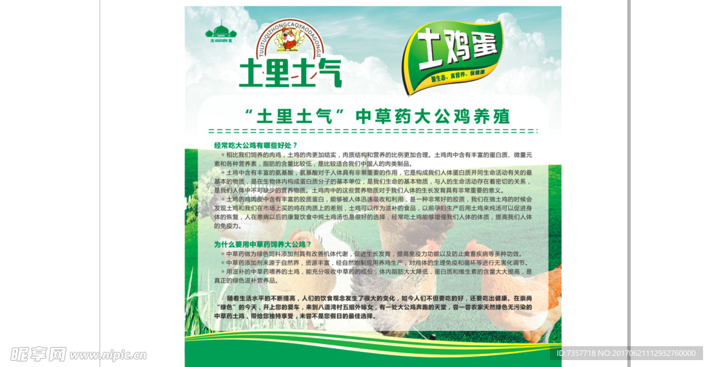 鸡蛋宣传广告