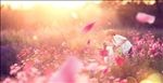 母亲 小女孩  亲吻  花海