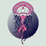 手绘线描水母矢量图下载