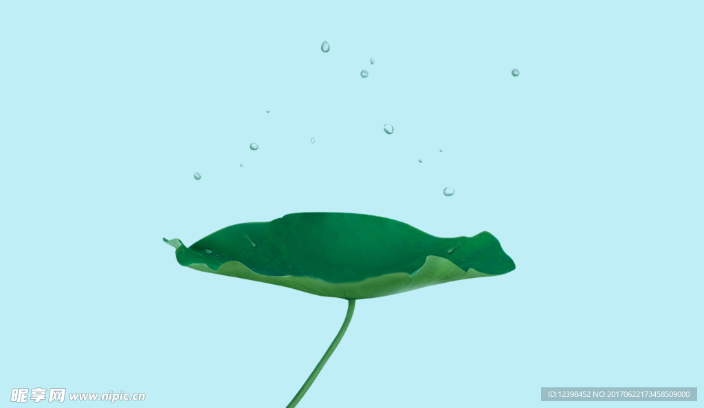 荷叶