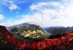 巫山红叶 巫山 巫峡