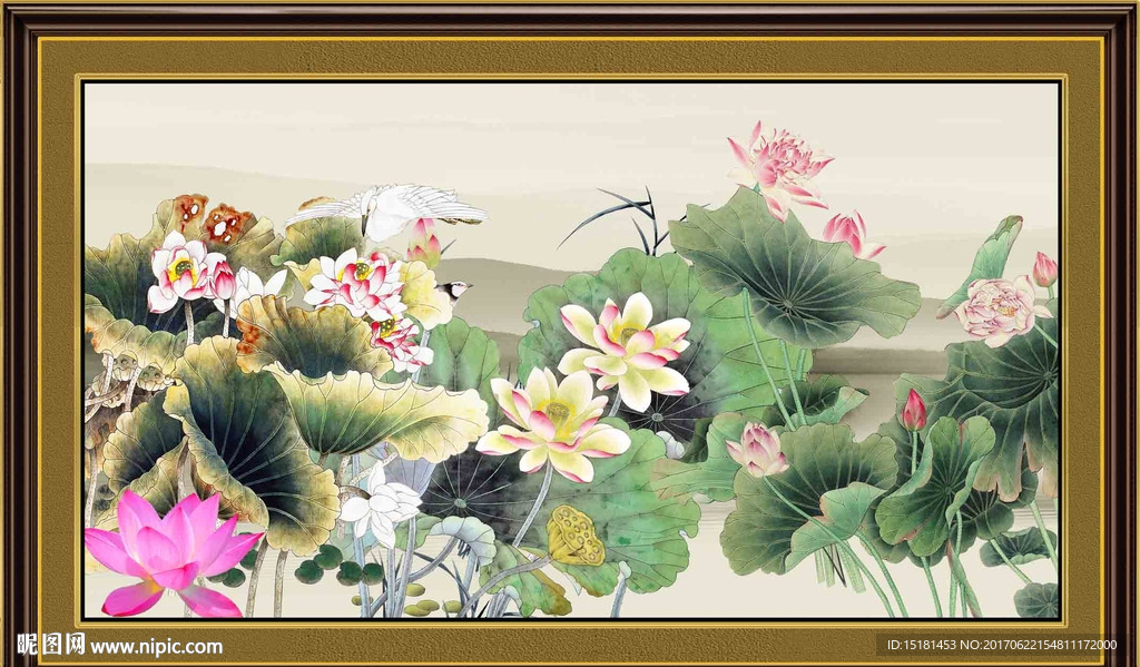 荷花图