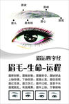 眉运四字经
