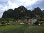 青山自然景