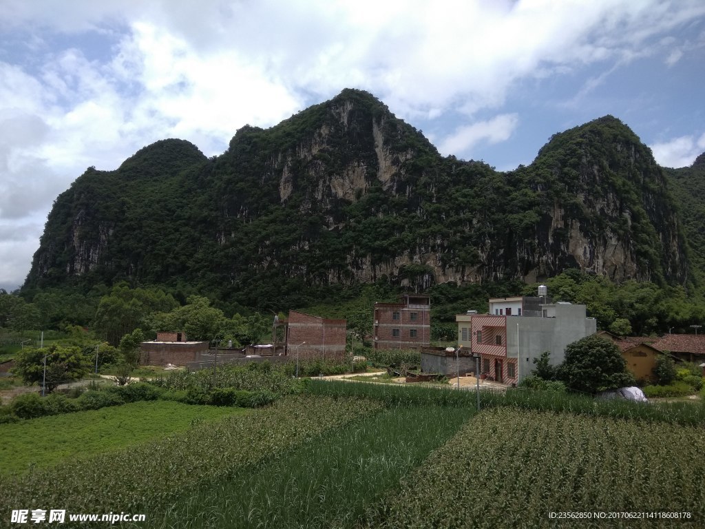 青山自然景