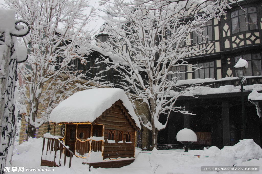 雪景