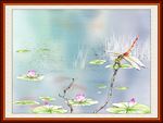 荷花蜻蜓