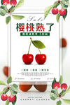 樱桃熟了创意促销海报
