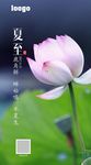 夏至荷花图