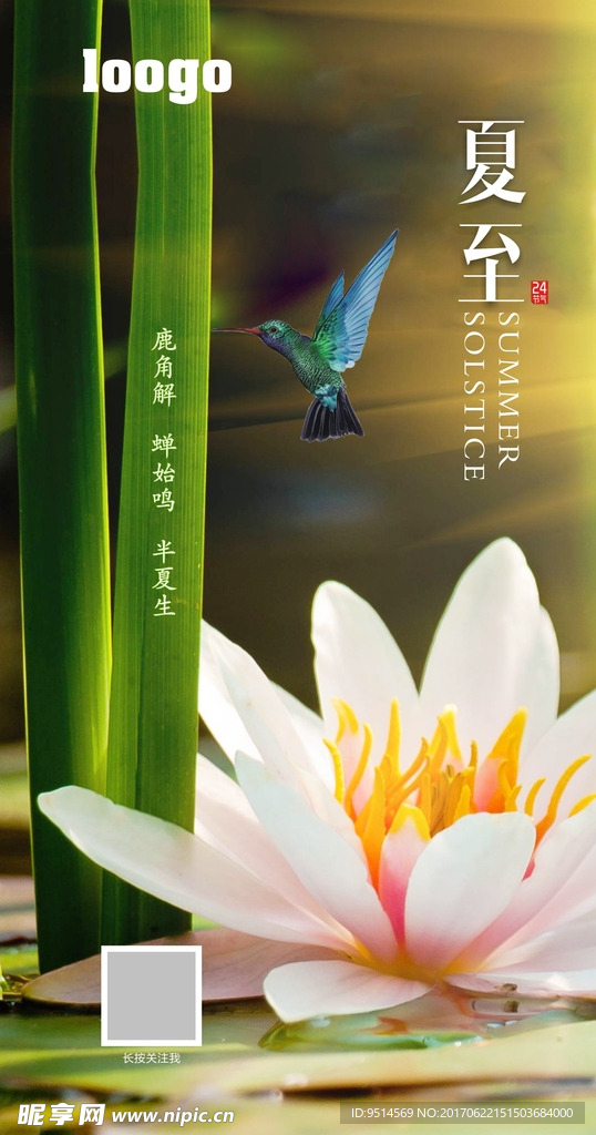 夏至节气图