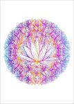 植物花朵花卉矢量图下载