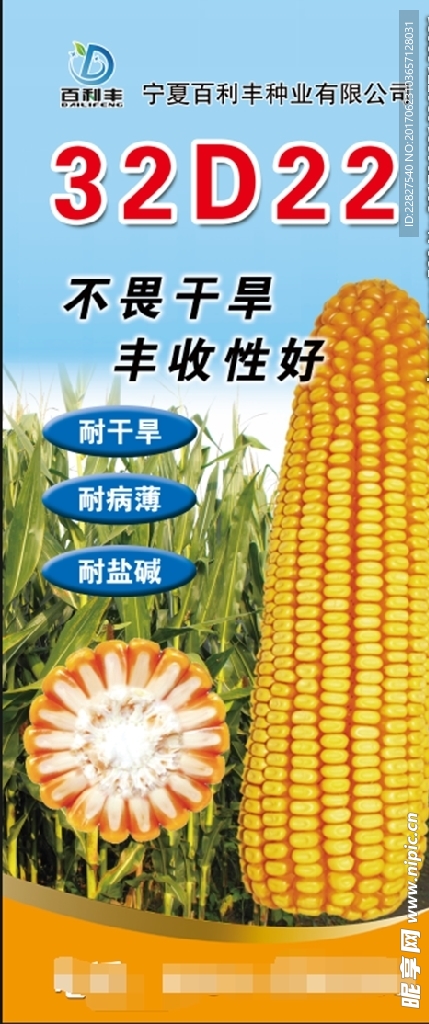 玉米种子展架