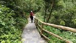 武隆天坑