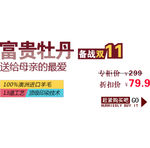 淘宝促销价格模版