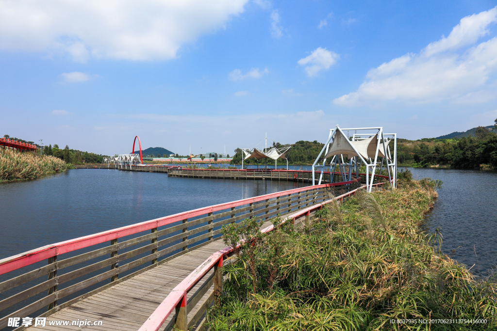 湿地廊桥