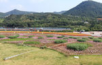 四季花田