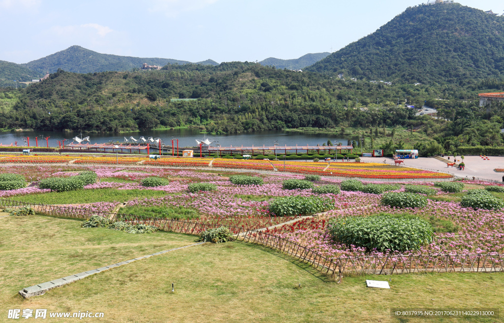 四季花田