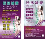 经络减肥 养生 美容 美体 排
