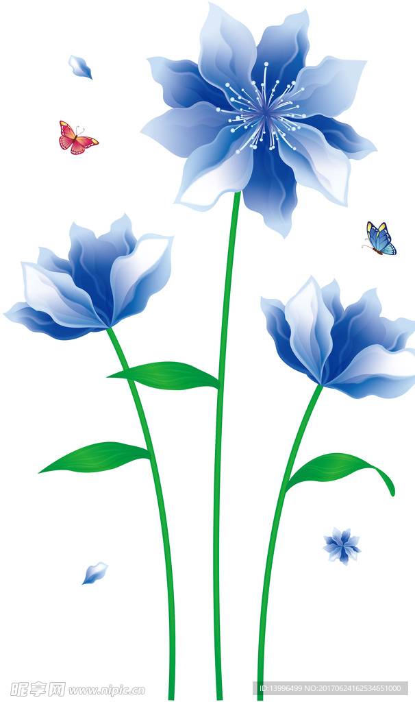 梦幻花卉
