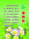春季养生
