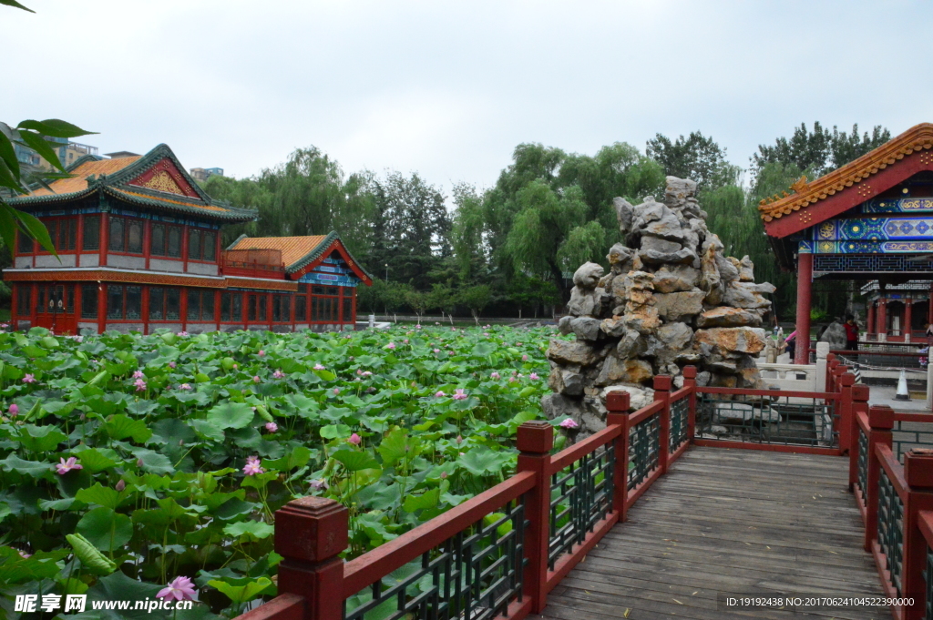 龙潭湖风景