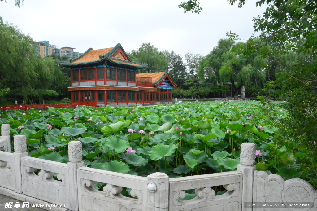 龙潭湖风景