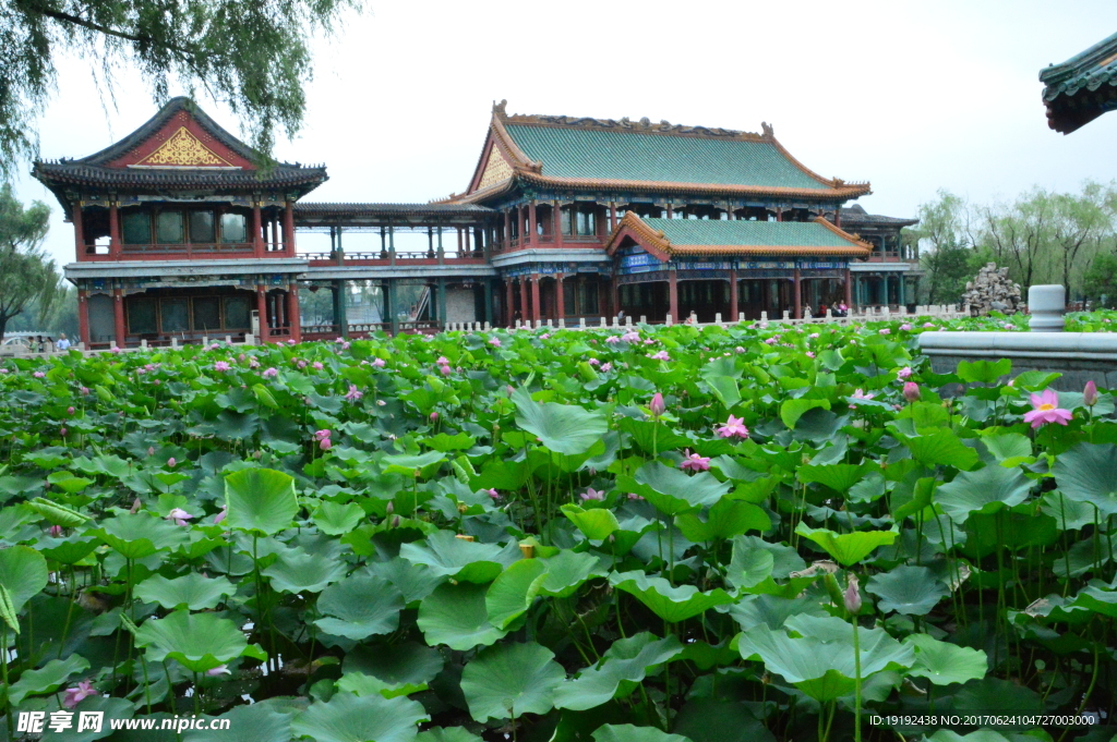 龙潭湖风景