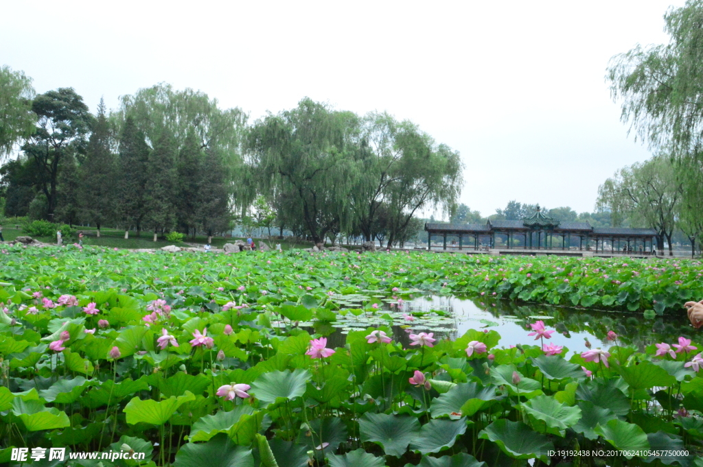 龙潭湖风景