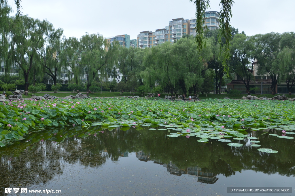 龙潭湖风景