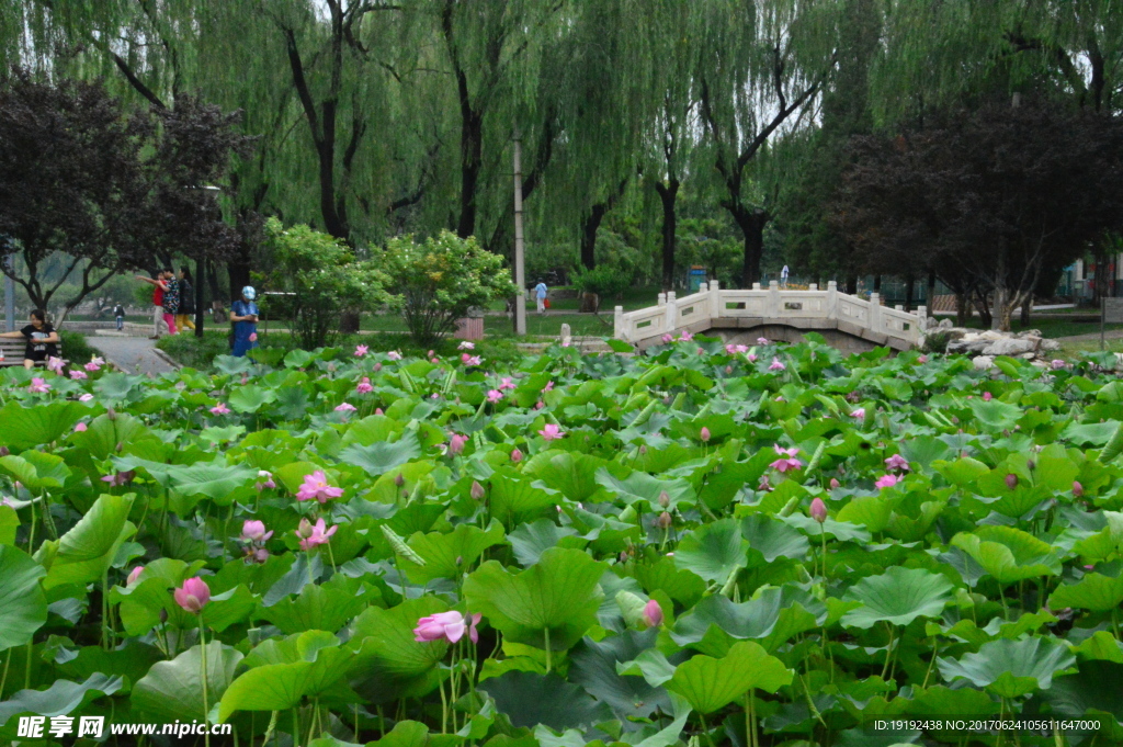 龙潭湖风景